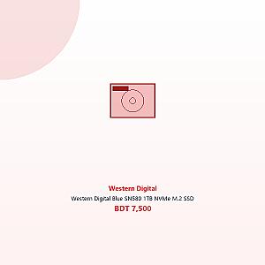 Western Digital Blue SN580 1TB NVMe M.2 SSD