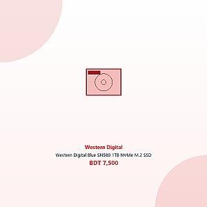 Western Digital Blue SN580 1TB NVMe M.2 SSD