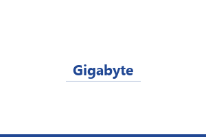 Gigabyte